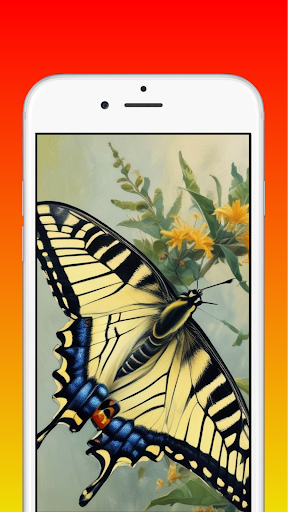 Butterfly Wallpaper 4K HD PC