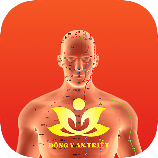 Huyệt vị Kinh Mạch