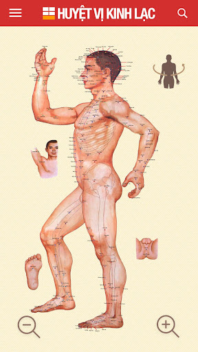 Huyệt vị Kinh Mạch PC