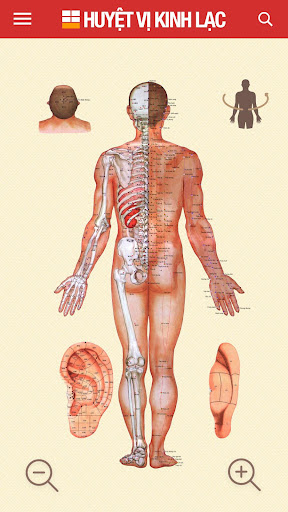 Huyệt vị Kinh Mạch PC