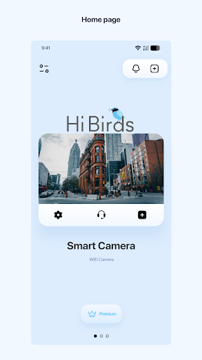 HiBirds PC