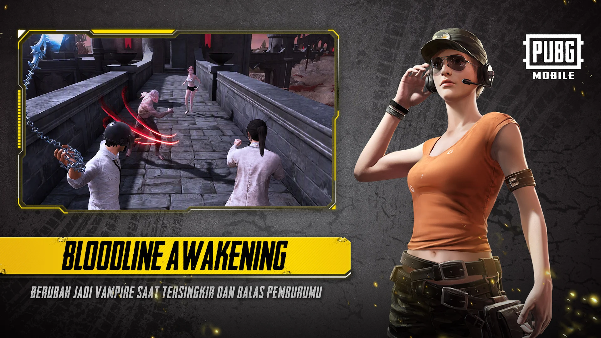 PUBG MOBILE PC