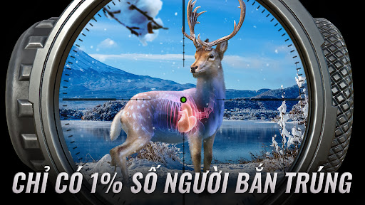 Hunting Clash: Trò chơi săn bắn. Mô phỏng bắn súng