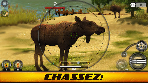Wild Hunt : jeux de chasse