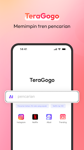 TeraGogo PC