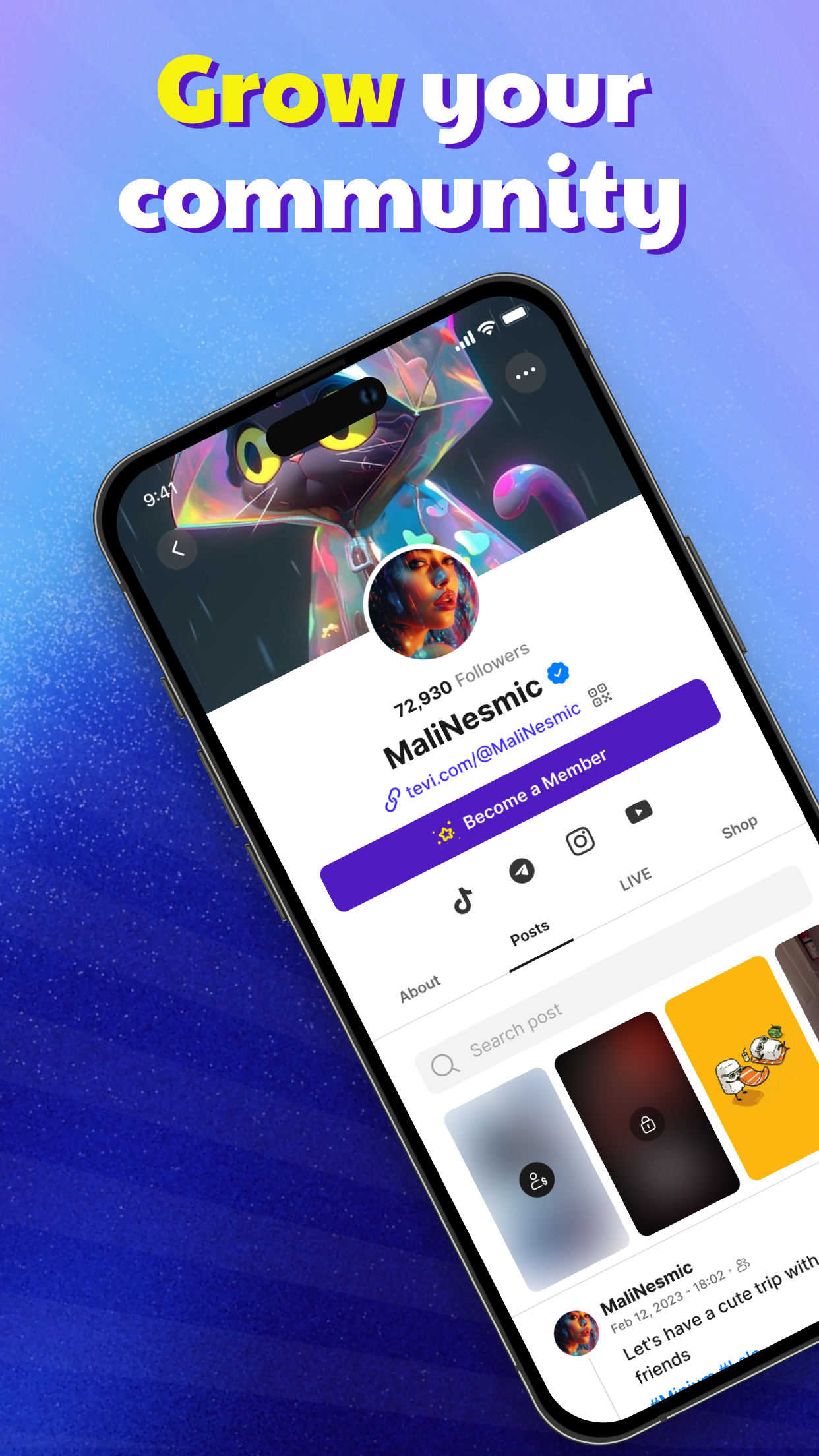 Tevi - Private Live Streaming PC