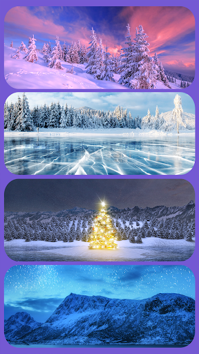 Word Odyssey: Zen with Wonders PC