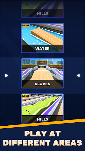 Skyline Bowling PC