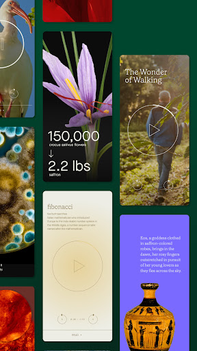 Humane Space: Daily Curiosity PC