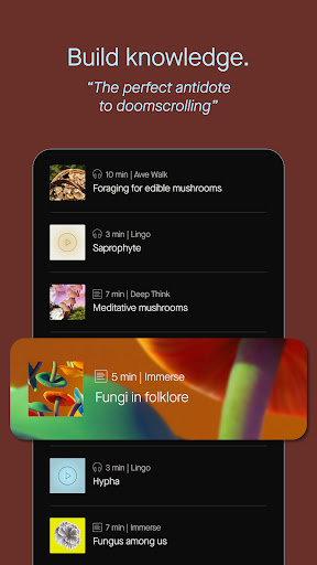 Humane Space: Daily Curiosity PC