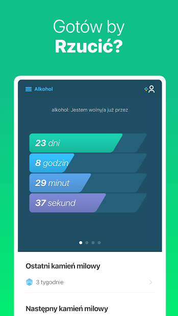 I Am Sober - Jestem trzeźwy PC
