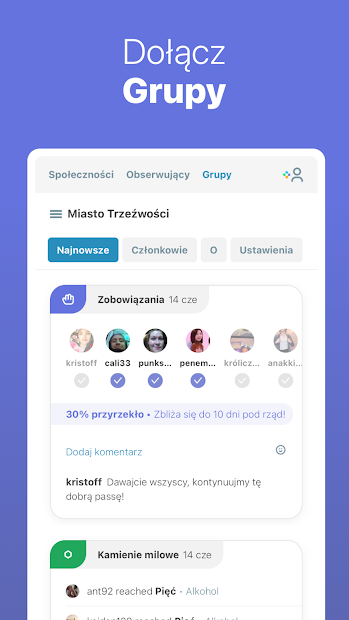 I Am Sober - Jestem trzeźwy PC
