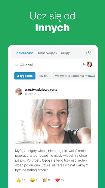 I Am Sober - Jestem trzeźwy PC