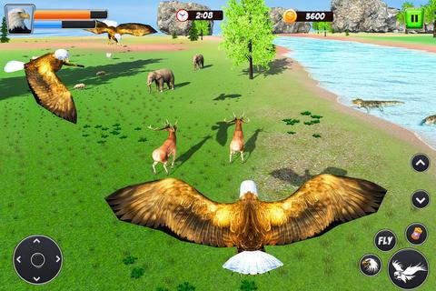 Flying Eagle Family Simulator