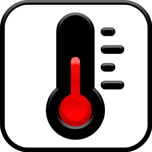 Termometro Interno Accurato