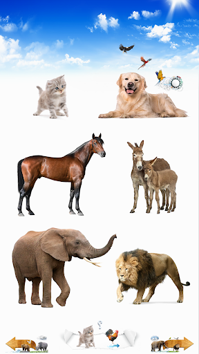 जानवरों की आवाज़ें PC