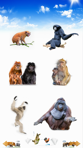 जानवरों की आवाज़ें PC