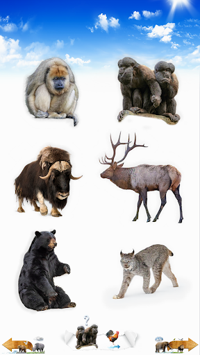 जानवरों की आवाज़ें PC