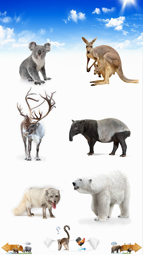 जानवरों की आवाज़ें PC