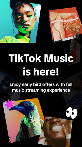 TikTok Music para PC