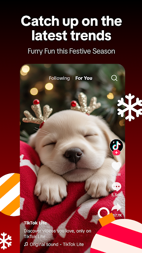 TikTok Lite - Smaller & Faster PC版