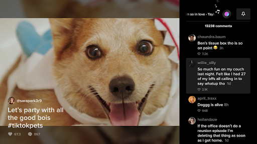 TikTok for Android TV電腦版