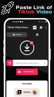 Downloader for TikTok PC