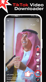 Downloader for TikTok PC