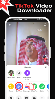 Downloader for TikTok PC