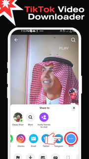 Downloader for TikTok PC