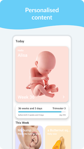 Pregnancy Tracker & Day by Day