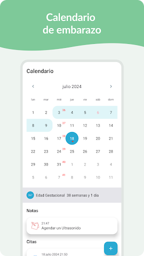 Embarazo: Calendario Diario