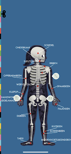 Het Menselijk Lichaam PC