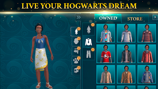 Harry Potter Hogwarts Mystery