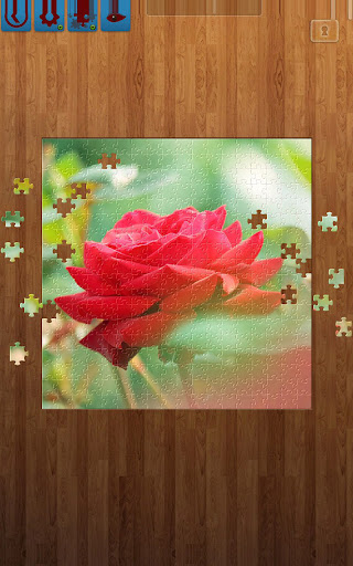 Blumen-Puzzles PC