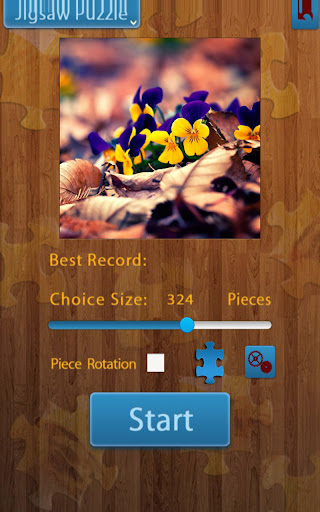 Blumen-Puzzles PC
