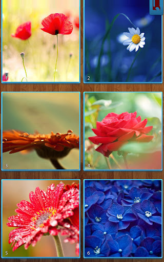 Blumen-Puzzles PC