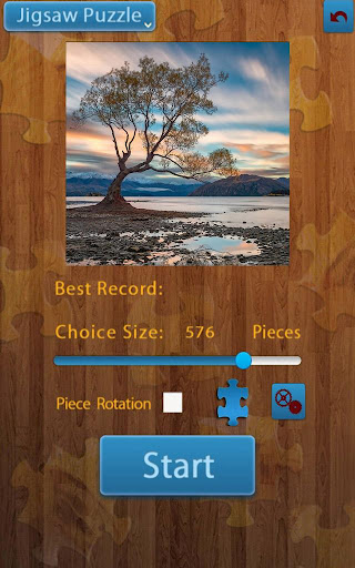 Seen Puzzles PC