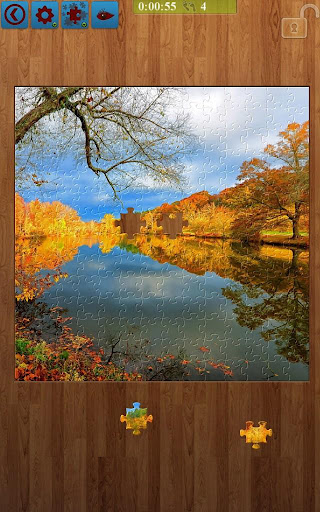 Seen Puzzles PC