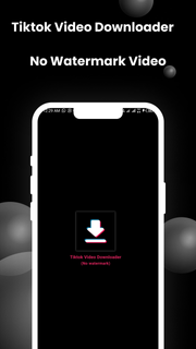 Tiktok Video Downloader PC