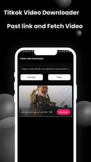 Tiktok Video Downloader PC