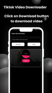 Tiktok Video Downloader PC