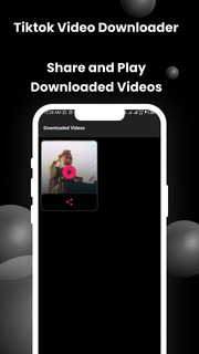 Tiktok Video Downloader PC