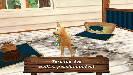My Animal Hotel Premium PC