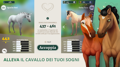 Wildshade: Corse Di Cavalli