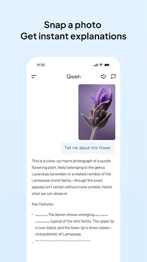 Qwen PC