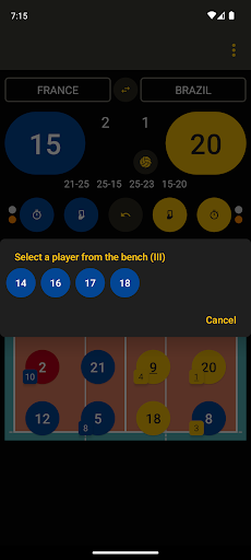 Volleyball Referee PC