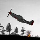 WW2 Warplane Fighter Bomber PC