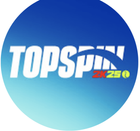 TopSpin 2K25 ПК