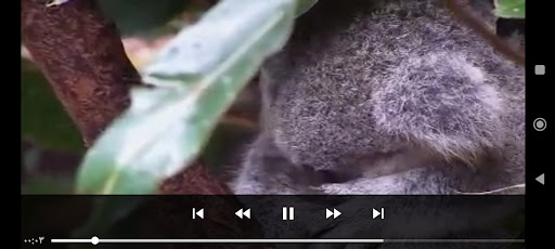 TQ Player الحاسوب